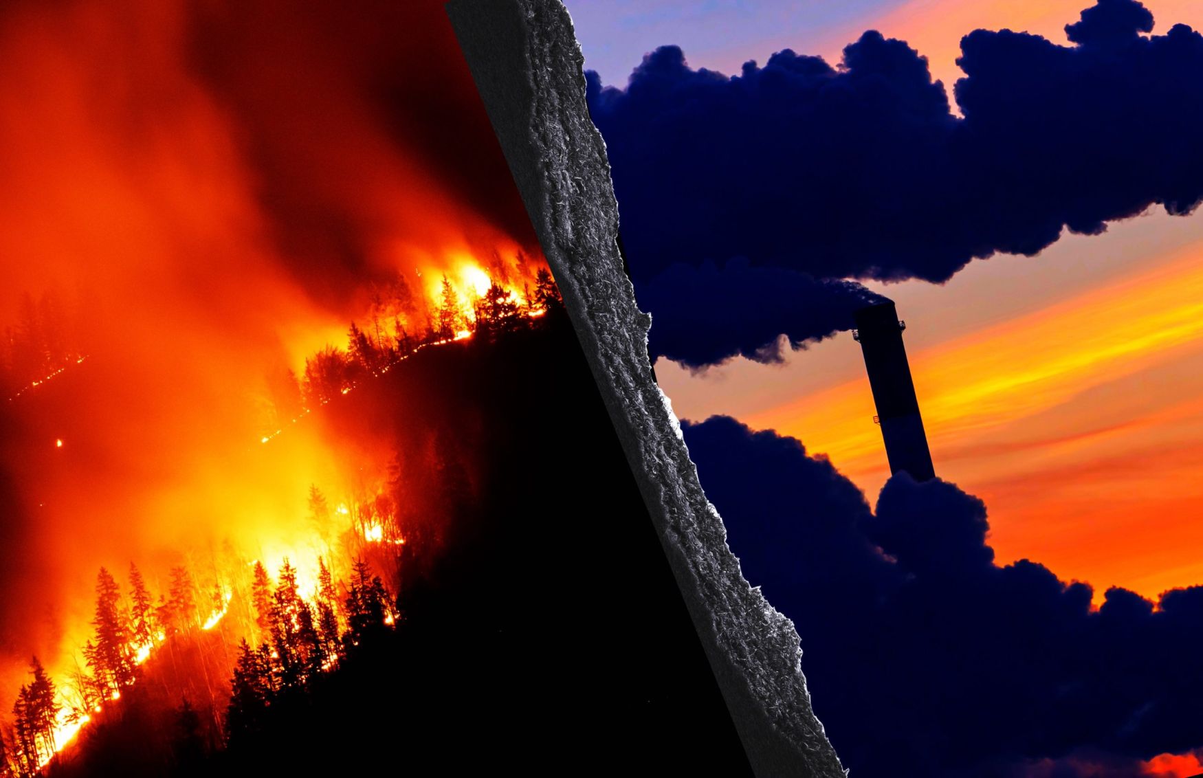 Earth Endured Eleven Hottest Years on Record, with "Out of Balance" Climate | The Retort